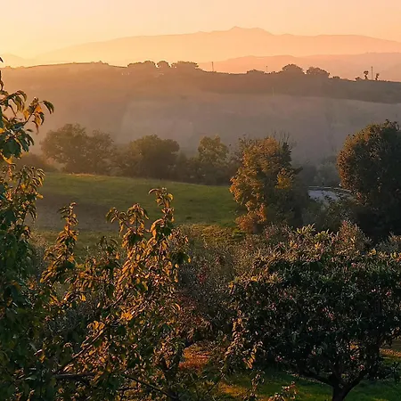 Bel Campa - Vegano In Campagna Monteodorisio