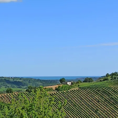 Bel Campa - Vegano In Campagna Monteodorisio