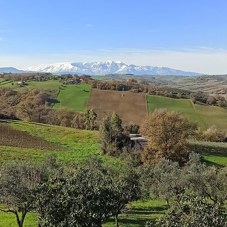 Bel Campa - Vegano In Campagna 3*
