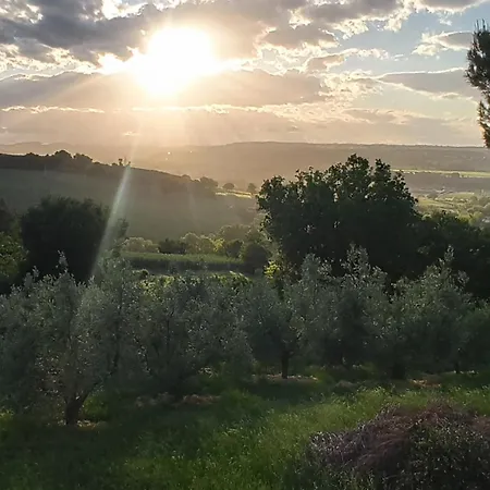 Bed & Breakfast Bel Campa - Vegano In Campagna 3*