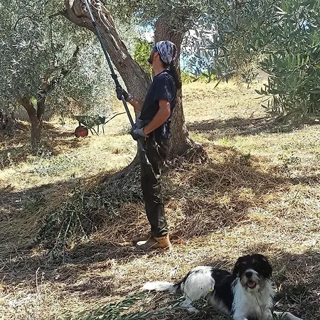 Bel Campa - Vegano In Campagna Monteodorisio