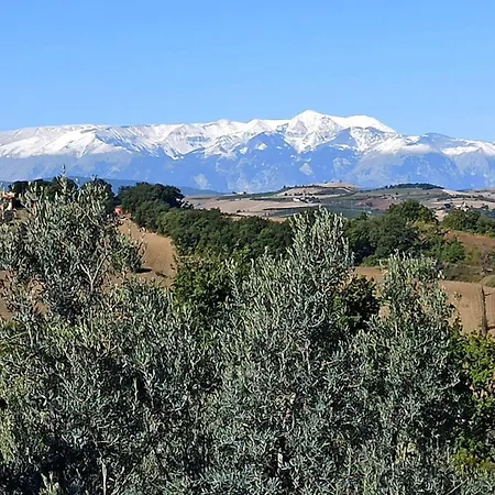 Bel Campa - Vegano In Campagna Monteodorisio